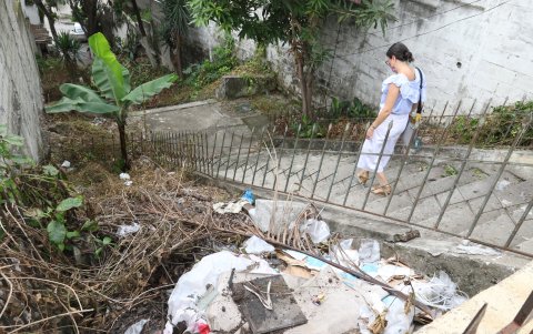 Peligro. Utilizar las escalinatas para acortar camino es una cuestión solo para arriesgados. Algunas concentran maleza y desperdicios.