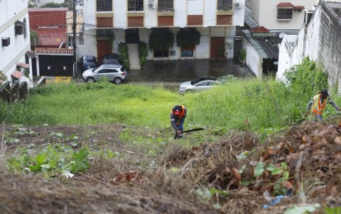Personal municipal empezó ayer a sacar la maleza de algunos terrenos. Estos, durante ya algún tiempo, fueron podados y fumigados por los mismos residentes.