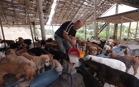 Gustavo alimenta en un galpón a los 248 perros desacatos