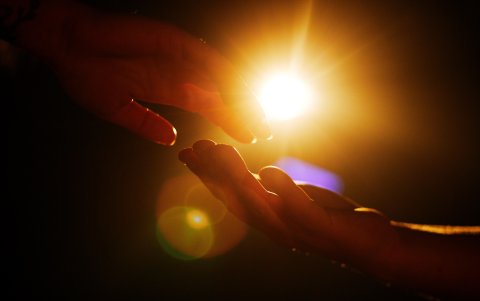 El lanzamiento de esta iniciativa tuvo lugar junto al monumento más emblemático de Róterdam, el Puente Erasmus.