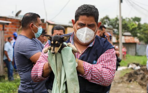 En la vivienda abandonada encontraron perros que estaban enfermos.