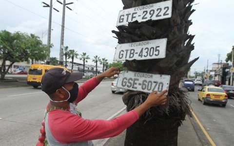 Ayuda. En postes, palmeras y UPC continúan algunas placas.
