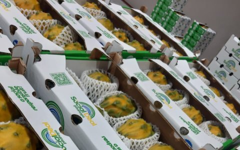 El principal mercado es Asia.