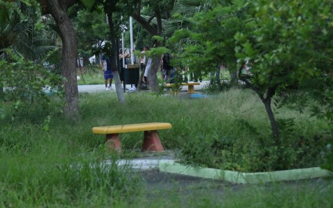 La FAE. Los vecinos solicitan que el Cabildo limpie sus parques, la maleza en algunos puntos los vuelve también vulnerables al delito.