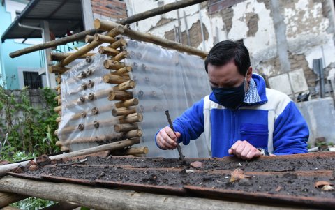 Los huertos se desarrollan junto a estudiantes de la carrera de Arquitectura de la PUCE.