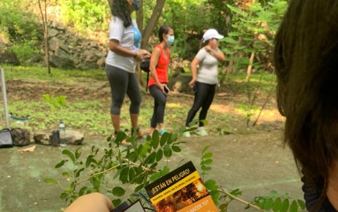 Árboles. Ceibo, palo santo y guayacán fueron algunas de las especies que se sembraron.