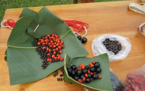 Naturaleza. Las semillas de huayruro son utilizadas para adornar y dar colorido a las prendas.