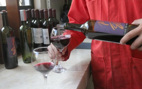 El producto insignia de Mirella Winery es el vino de mortiño, pero actualmente trabajan en vinos de grosella y flor de jamaica.