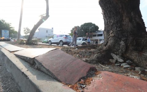 Este es el estado de los parterres de Sauces, un vecindario del norte de Guayaquil.