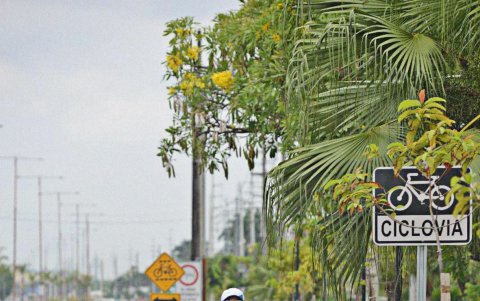 Apasionada del deporte, entrena de 13 a 20 horas a la semana