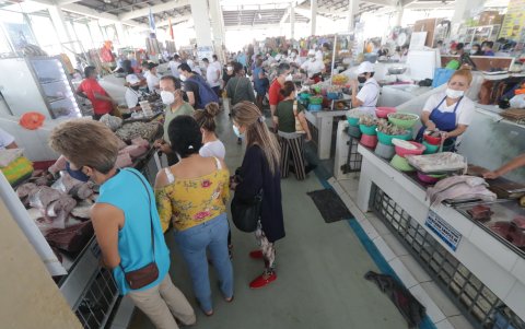 Los usuarios reconocen no poder distinguir las especies que les venden.