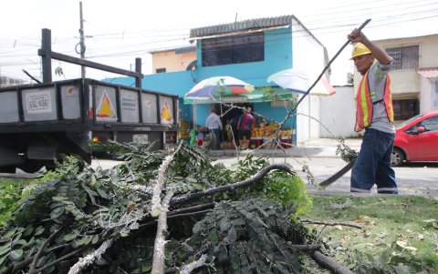 Intervención. Personal de una contratista del Municipio atiende el problema.