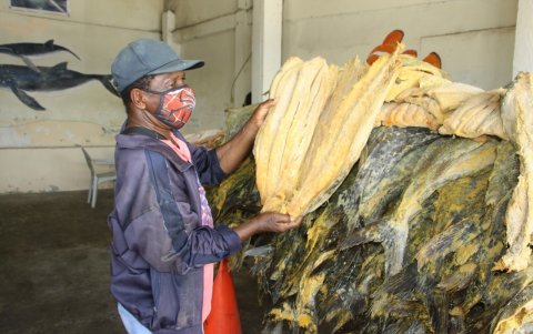 Sustento. La actividad del pescado salado la realizan hombres y mujeres, quienes desde enero empiezan el oficio.