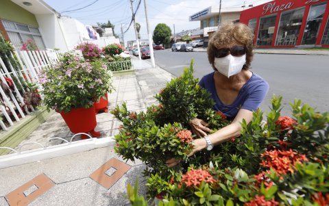 Parte del jardín de flores que Laura Gómez cuida cerca de su casa.