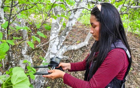 Expertos toman muestras para la investigación