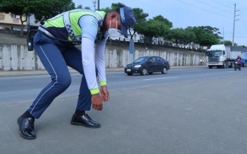 El agente explica cómo cargó al animal para salvarle la vida.