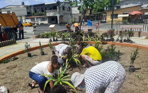 Iniciativa. Los vecinos sembraron plantas ornamentales y dos guayacanes negros.