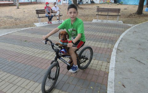 Escenarios. Diferentes personas realizan los paseos con sus canes.