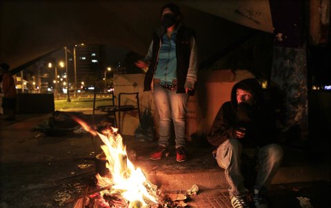 Supervivencia. Quienes no tienen pareja, viven en grupos para evitar ataques y asistirse en la búsqueda de alimentos