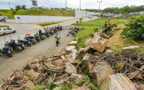 Efecto. Se prevé la restauración y reforestación de la zona.