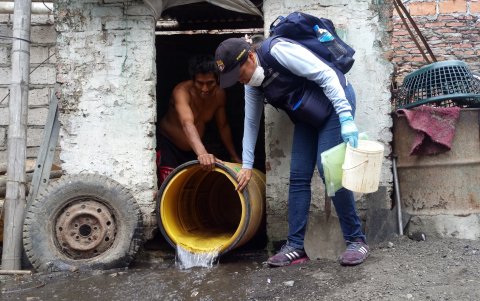 La enfermedad causada por la picadura del mosquito Aedes aegypti registra un incremento de casos.
