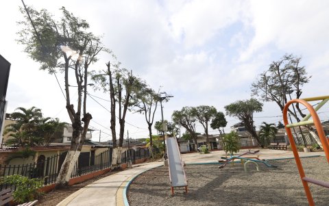 Sitio. En parque de la ciudadela Guayacanes se realizó la comentada poda.