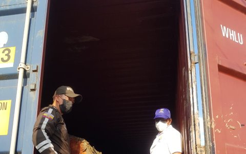 La madera de uno de los árboles cortados es trasladada a bodegas.