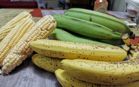 El choclo, el verde y el guineo te proporcionan una dieta nutritiva y tienen más bajo costo que los productos elaborados