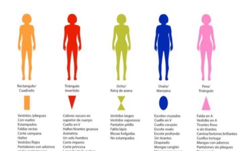 Tipos de cuerpos.