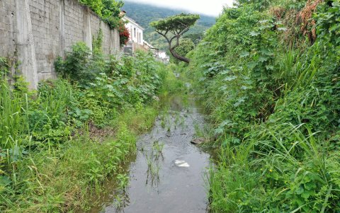 Las aguas del canal emanan mal olor. Estas, no permiten en ocasiones ni comer, ni dormir. El olor se percibe en todo el vecindario.