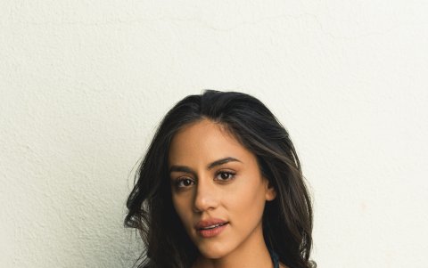 Michelle empezó su carrera apareciendo en series como The good wife y Blue bloods.