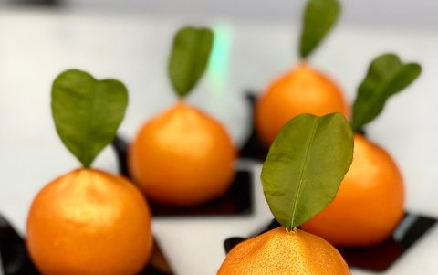 Postre gourmet con la forma real de una mandarina hecho por Samira.