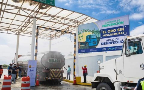 Los arcos de desinfección instalados en la frontera sur para evitar la entrada de las plagas.