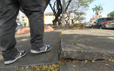 Ubicación. Así luce el parterre central de la Rodolfo Baquerizo, cerca de la calle Benjamín Carrión.