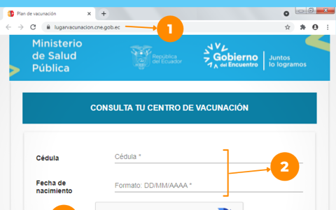 Vista del portal de consulta habilitado por el Ministerio de Salud Pública.
