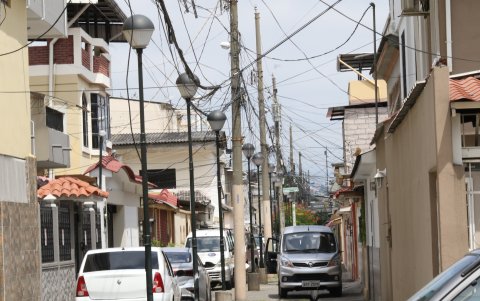 Sauces. Los tallarines colgantes afectan áreas donde incluso se han colocado faroles o mobiliario urbano. El problema evita apreciarlos.