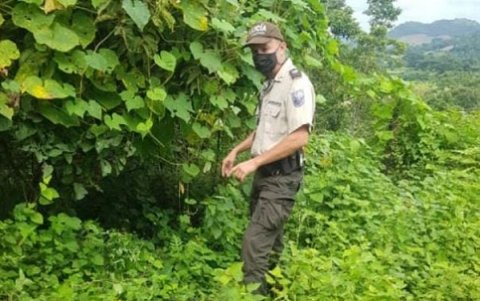 Un agente buscaba a los sospechosos de cazar animales silvestres entre la maleza
