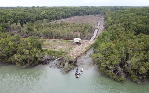 Ambientalistas consideran que el COA provoca aún más problemas y más debilidad temática.