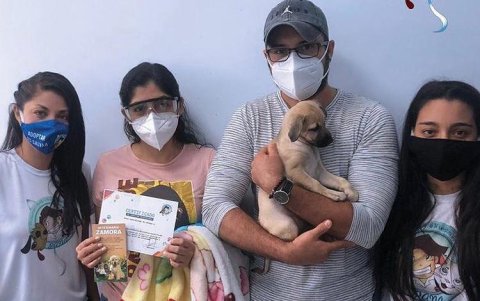 El objetivo de las fundaciones es dar un hogar estable a los rescatados.