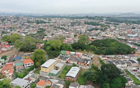 Naturaleza. Una visión global del bosque seco tropical de Samanes 1.
