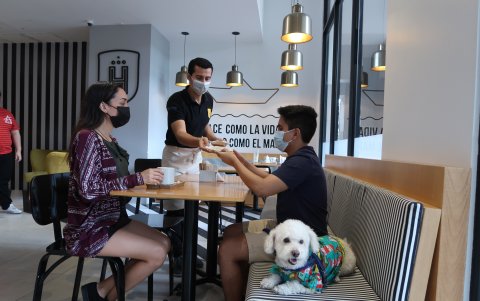 Vista San Eduardo.  Este es uno de los sitios favoritos de las familias que buscan disfrutar junto a sus mascotas. Allí, ellas comen, juegan y hasta descansan.