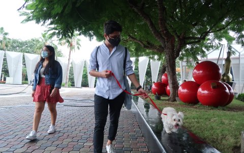 En Guayarte hay espacios internos y externos destinados para que las mascotas jueguen y paseen, coman.