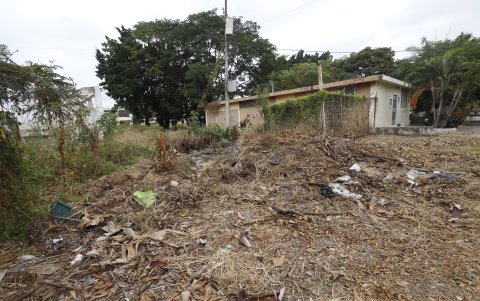 En el patio del colegio Francisco de Orellana hay montículo de maleza seca que ha sido acumulada.