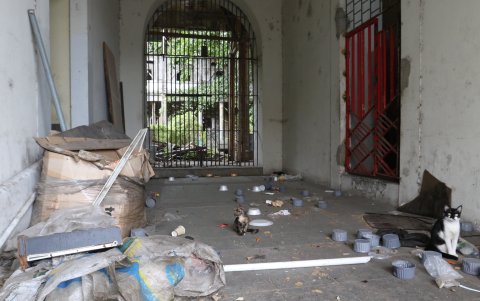 En la antigua cárcel de Guayaquil se observa basura y gatos. Esta foto que se tomó ayer, el lunes 21 de junio.