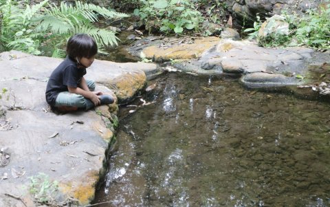 Los guías dirigen la ruta, a la que pueden ir personas de toda edad.
