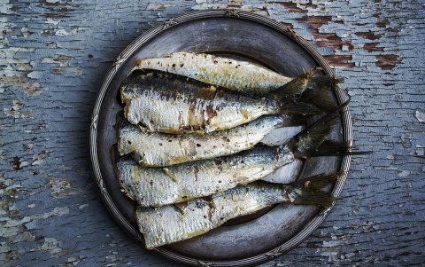Las sardinas al natural o enlatadas son ricas en purinas