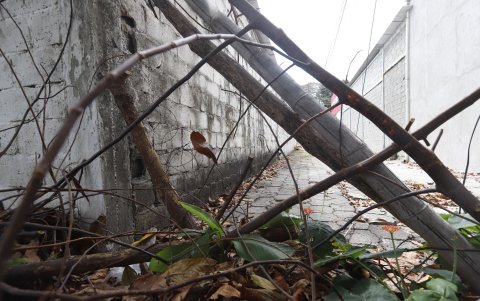 Los vecinos de la Alborada quinta etapa han tenido que colocar obstáculos en los callejones para evitar la fuga de los delincuentes.