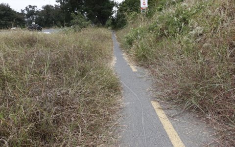 EN LA VIA A LA COSTA RECORRIDO EN LA CICLOVIA VIENDO LA FALTA DE MANTENIMIENTO EN VARIOS TRAMOS DE DICHA CICLOVIA/JIMMY NEGRETE/GUAYAQUIL-ECUADOR