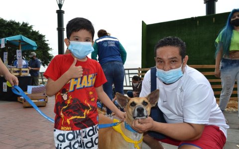 Actividad. Un total de 16 canes fueron adoptados.