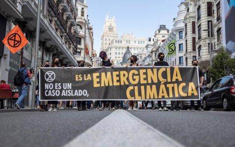 MADRID. Una manifestación más en defensa de la naturaleza. La presión desde hace años, genera un reacción internacional.